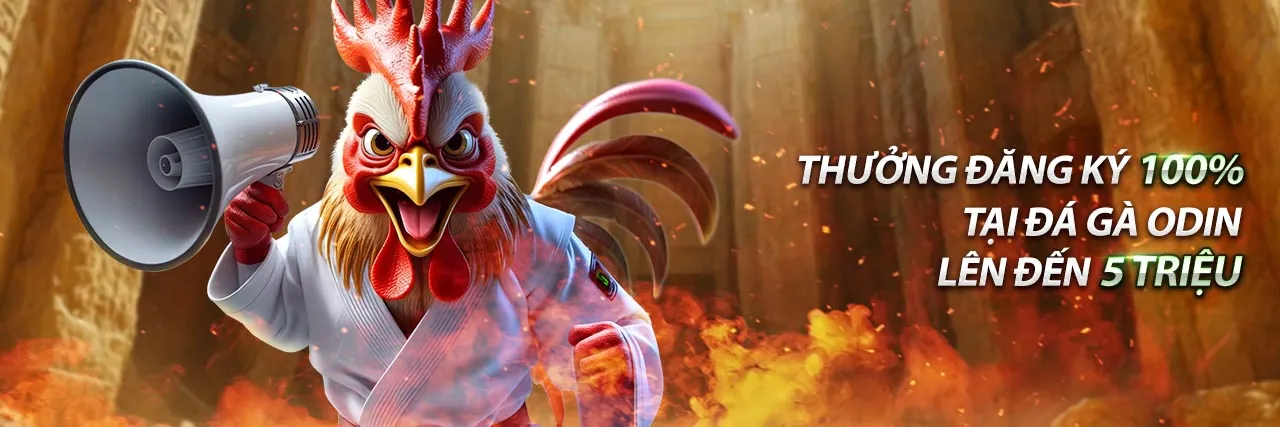 Cá cược thể thao 66ko với các trận đấu sôi động