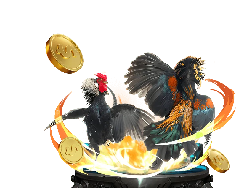 Các phương thức liên hệ hỗ trợ khách hàng của 66ko